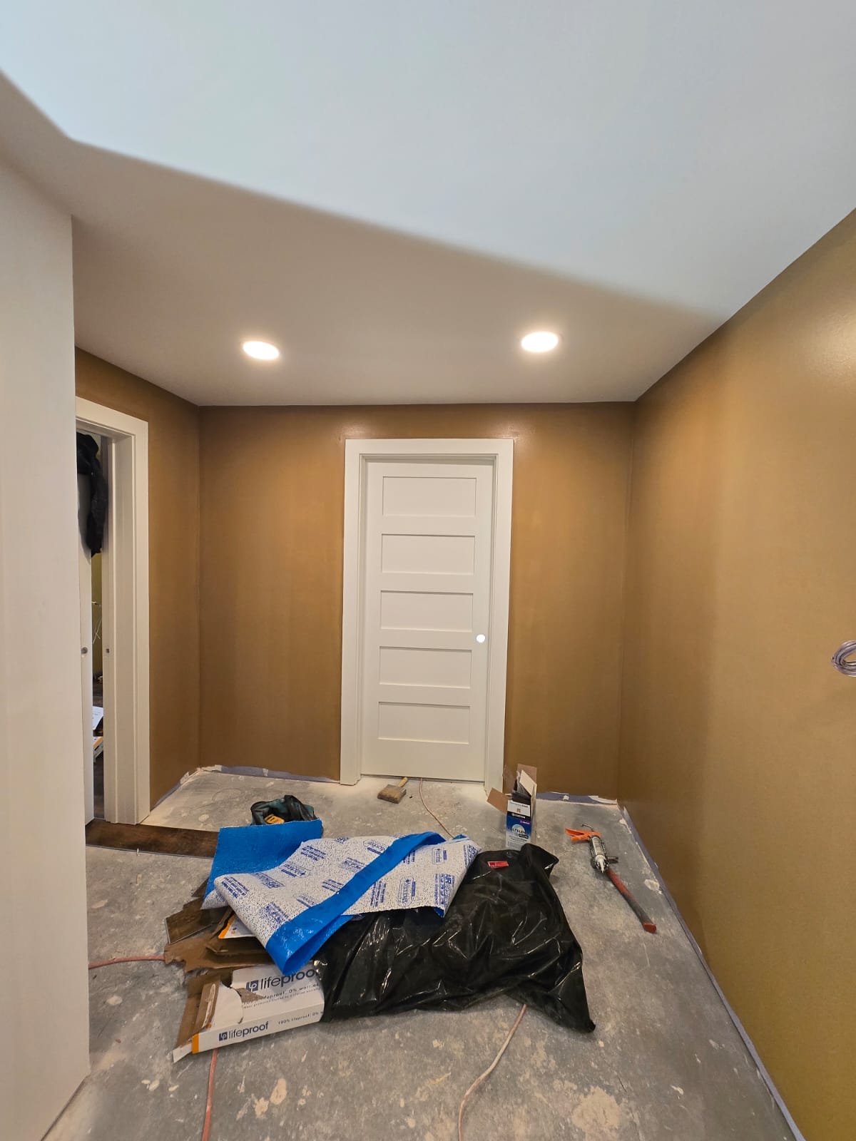 Proyecto de remodelación 264